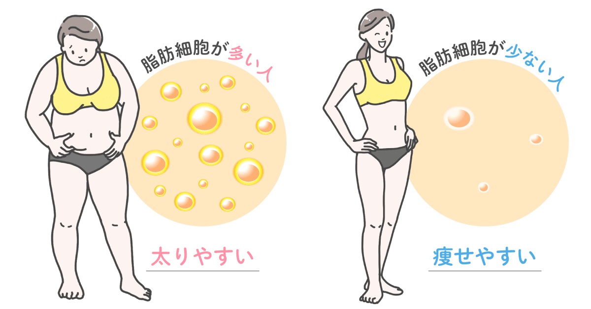 太るメカニズム